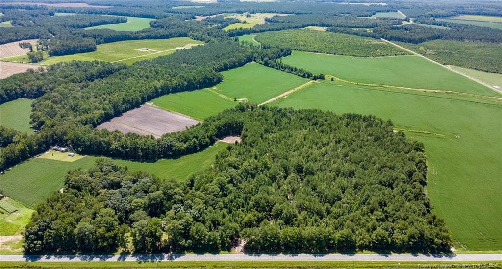 Photo 2 - TBD Balfour Road, Lumber Bridge, NC 28357