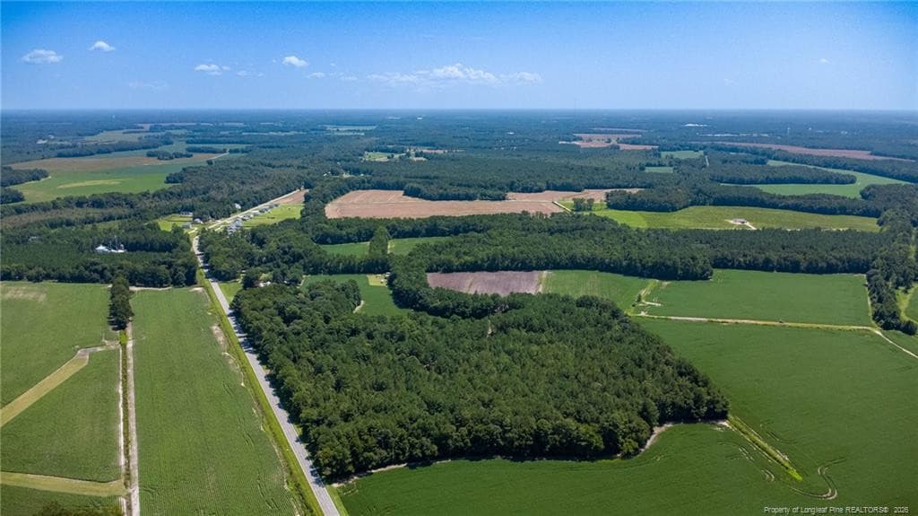 Photo 4 - TBD Balfour Road, Lumber Bridge, NC 28357