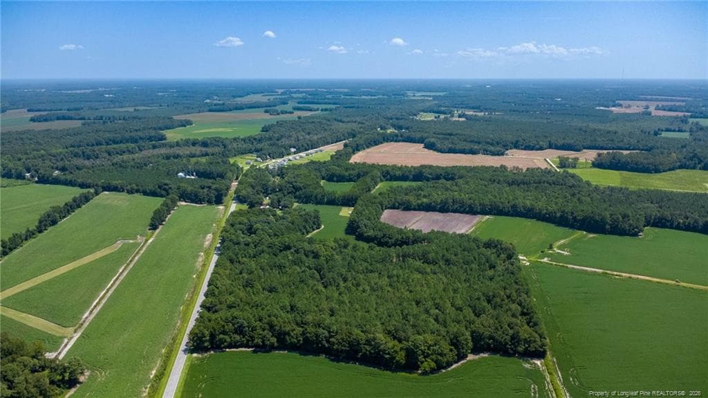 Photo 5 - TBD Balfour Road, Lumber Bridge, NC 28357