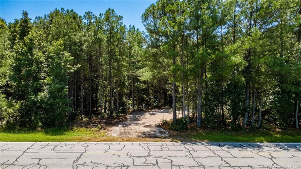 Photo 9 - TBD Balfour Road, Lumber Bridge, NC 28357