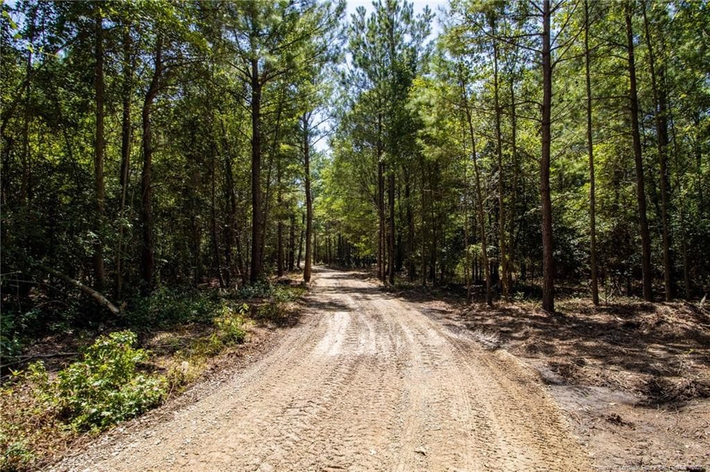 Photo 10 - TBD Balfour Road, Lumber Bridge, NC 28357