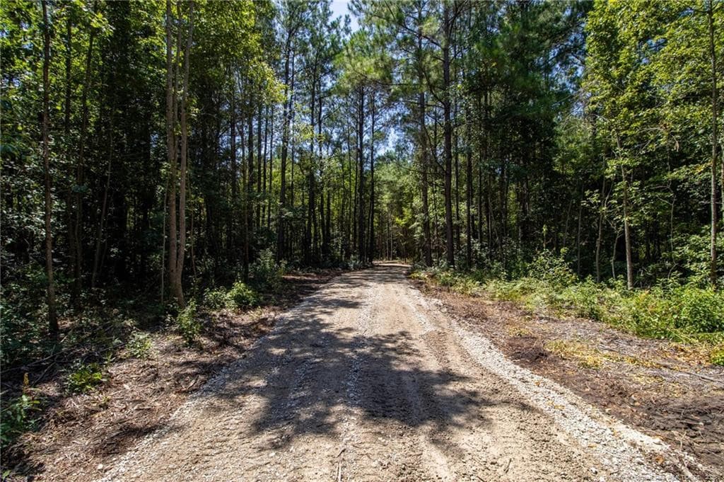 Photo 11 - TBD Balfour Road, Lumber Bridge, NC 28357