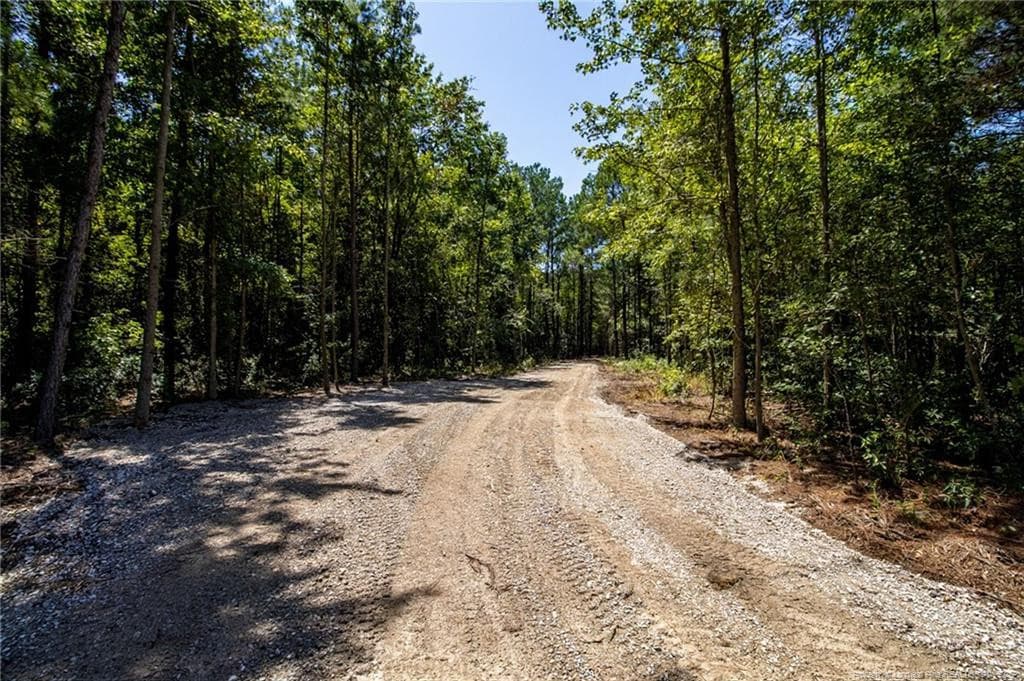 Photo 12 - TBD Balfour Road, Lumber Bridge, NC 28357