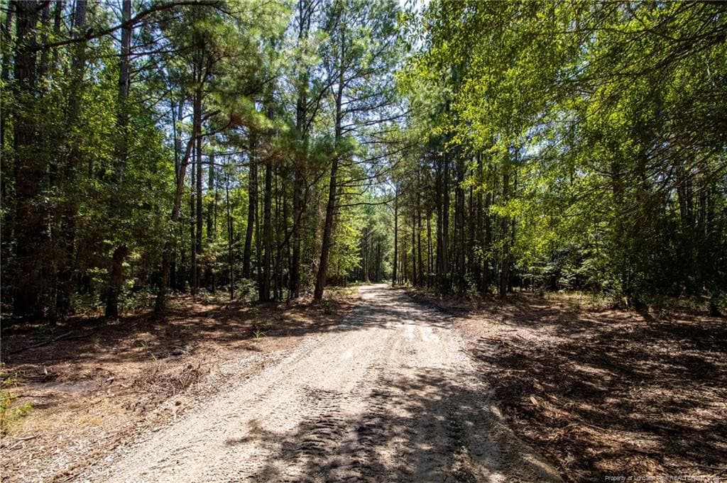 Photo 13 - TBD Balfour Road, Lumber Bridge, NC 28357
