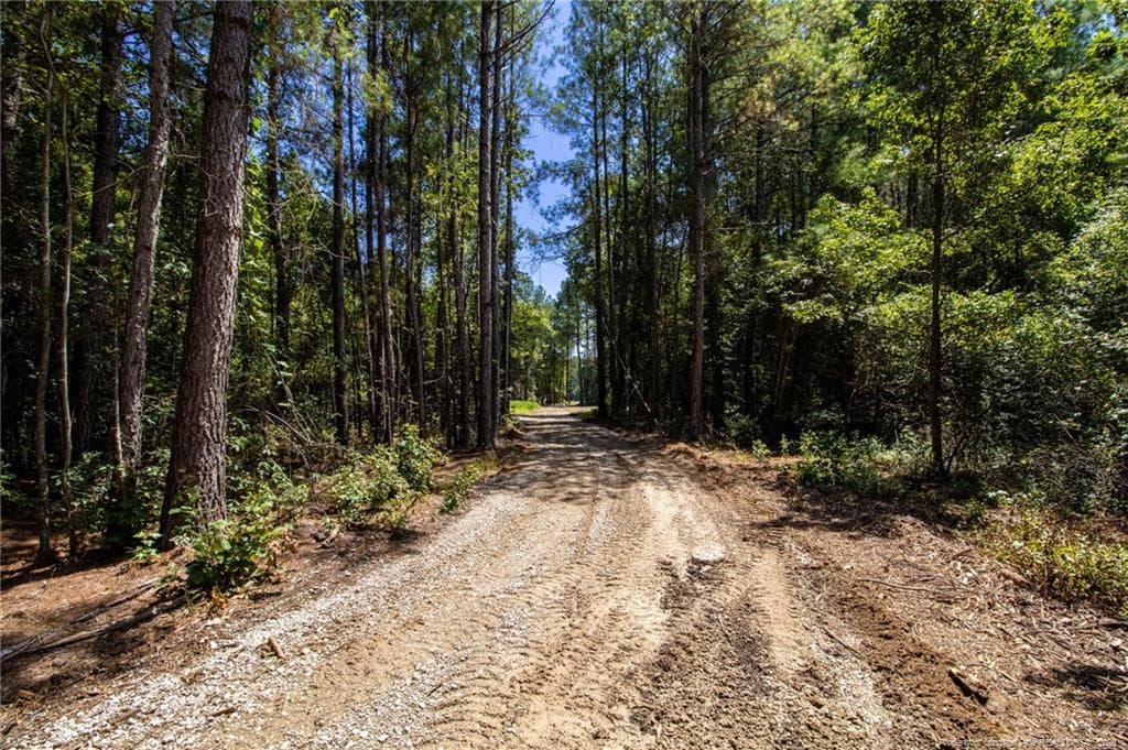 Photo 14 - TBD Balfour Road, Lumber Bridge, NC 28357