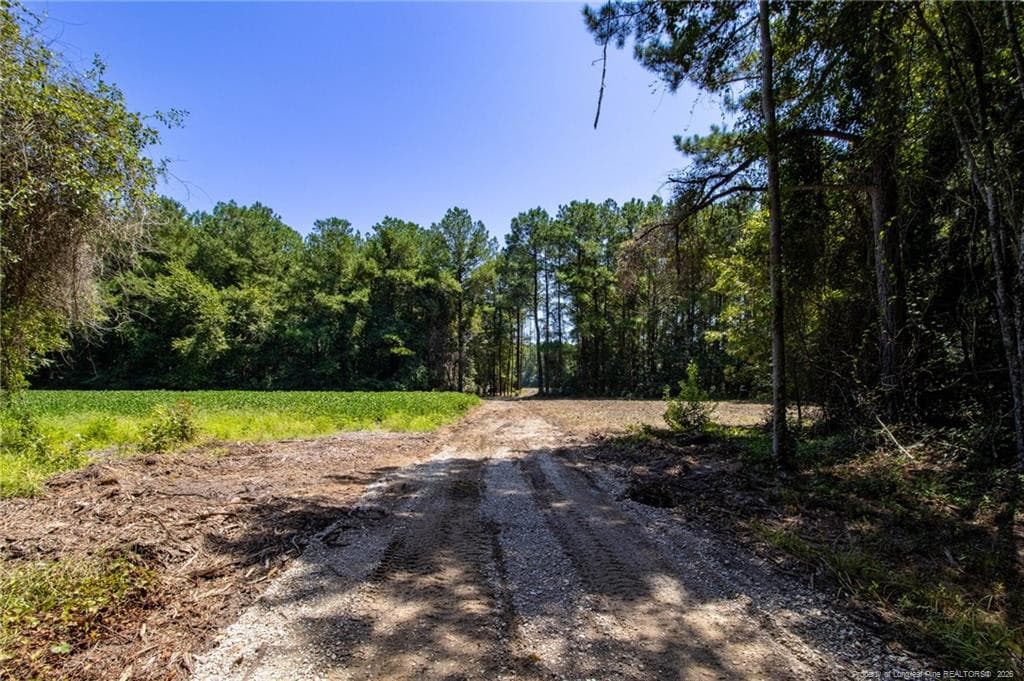 Photo 15 - TBD Balfour Road, Lumber Bridge, NC 28357