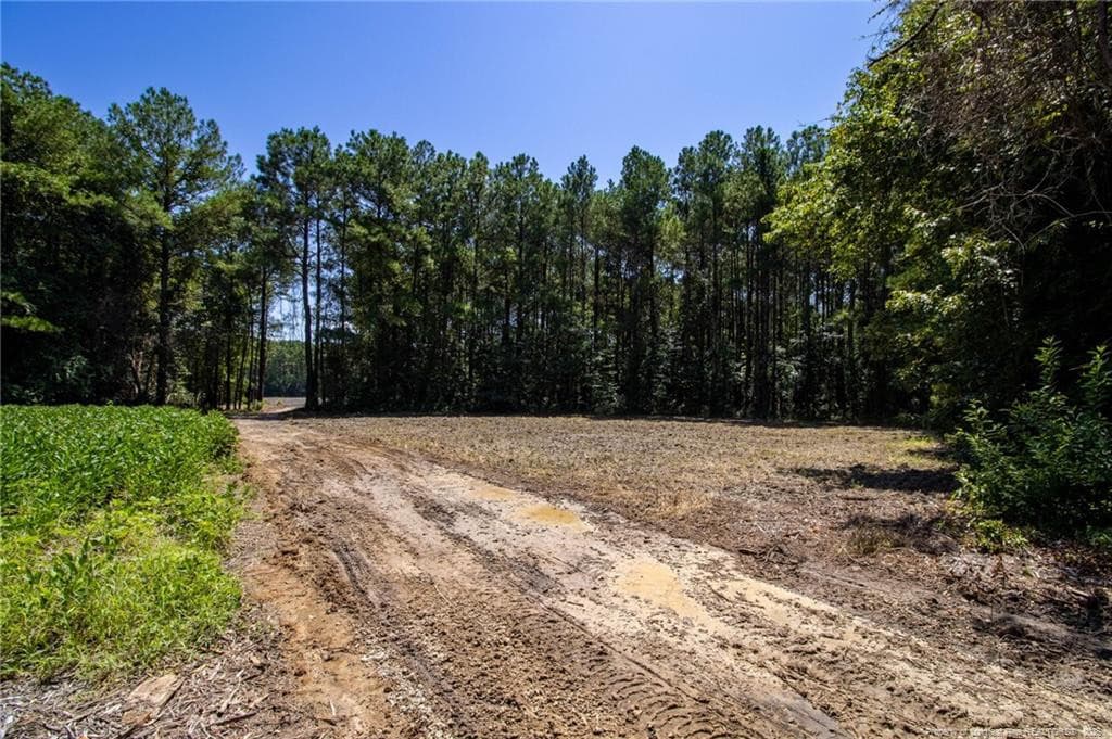 Photo 16 - TBD Balfour Road, Lumber Bridge, NC 28357