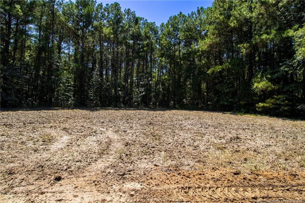 Photo 17 - TBD Balfour Road, Lumber Bridge, NC 28357