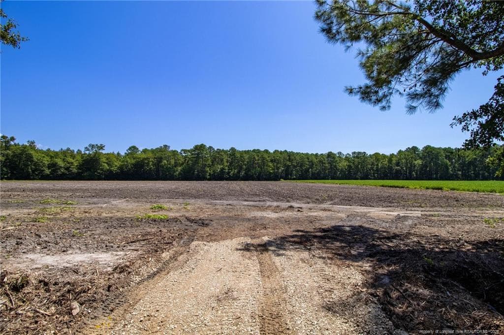 Photo 18 - TBD Balfour Road, Lumber Bridge, NC 28357
