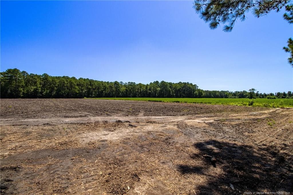 Photo 19 - TBD Balfour Road, Lumber Bridge, NC 28357