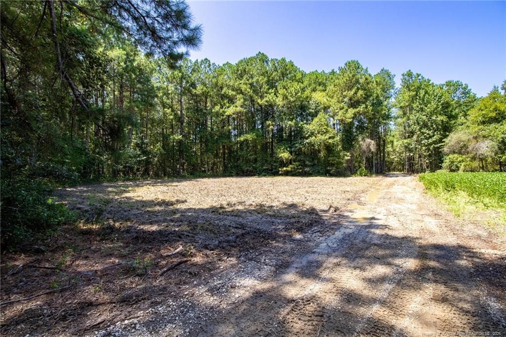 Photo 20 - TBD Balfour Road, Lumber Bridge, NC 28357