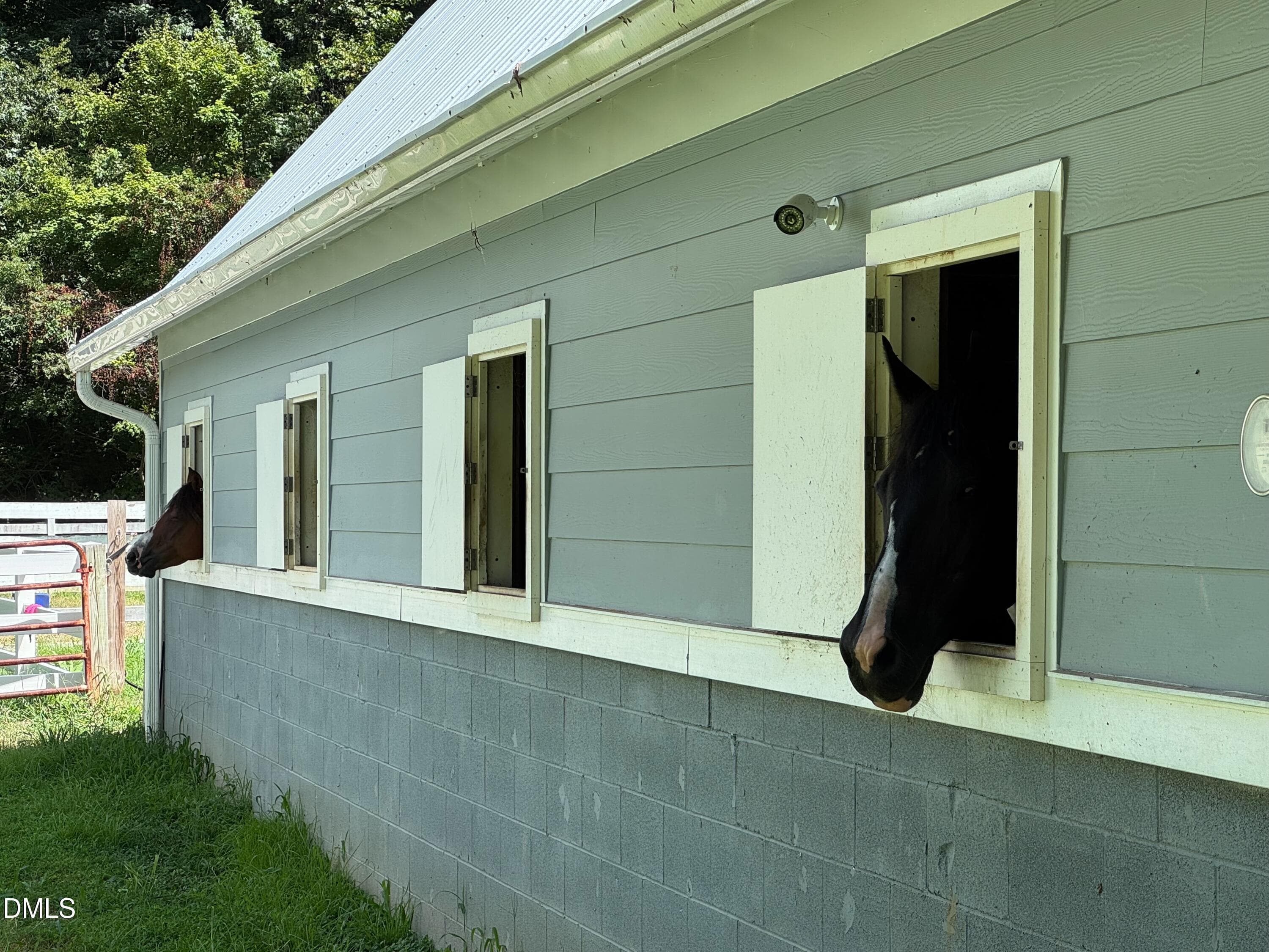 Barn Horses - 11433 Horsemans Trail, Raleigh, NC 27613, Raleigh