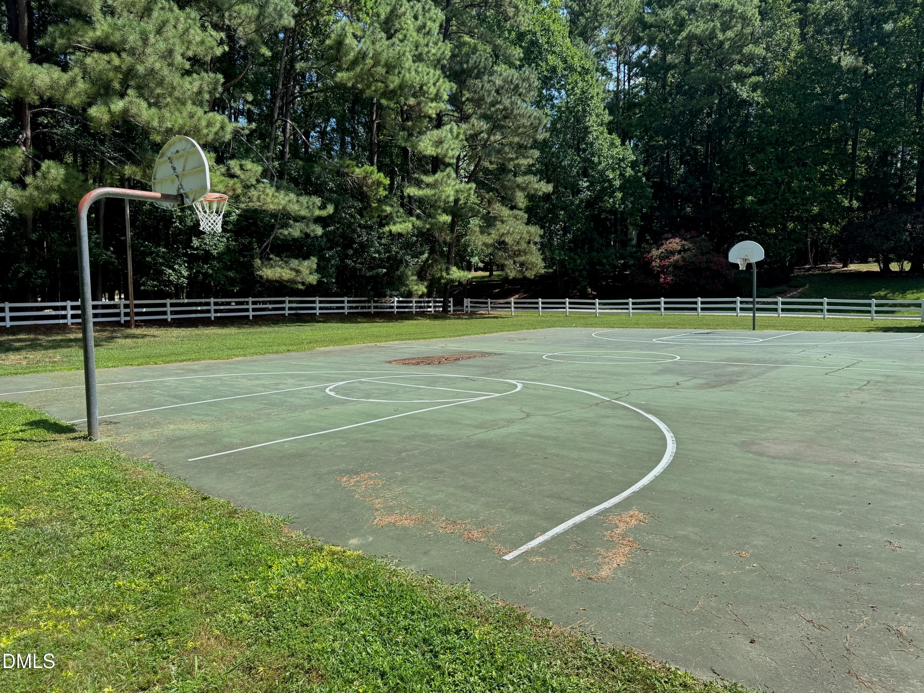 Basketball - 11433 Horsemans Trail, Raleigh, NC 27613, Raleigh