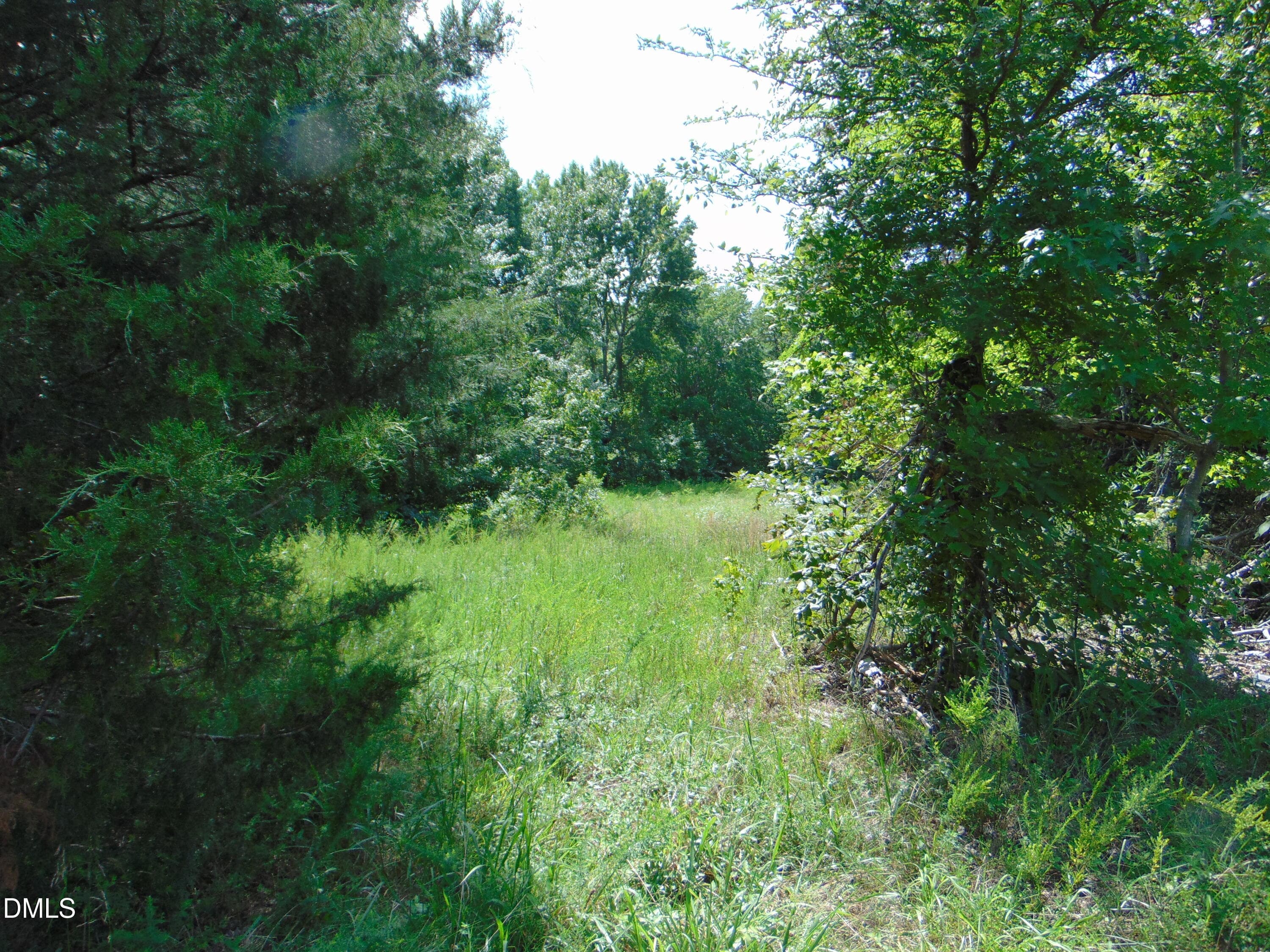 DSC01602 - 0 Highway 86, Yanceyville, NC 27379