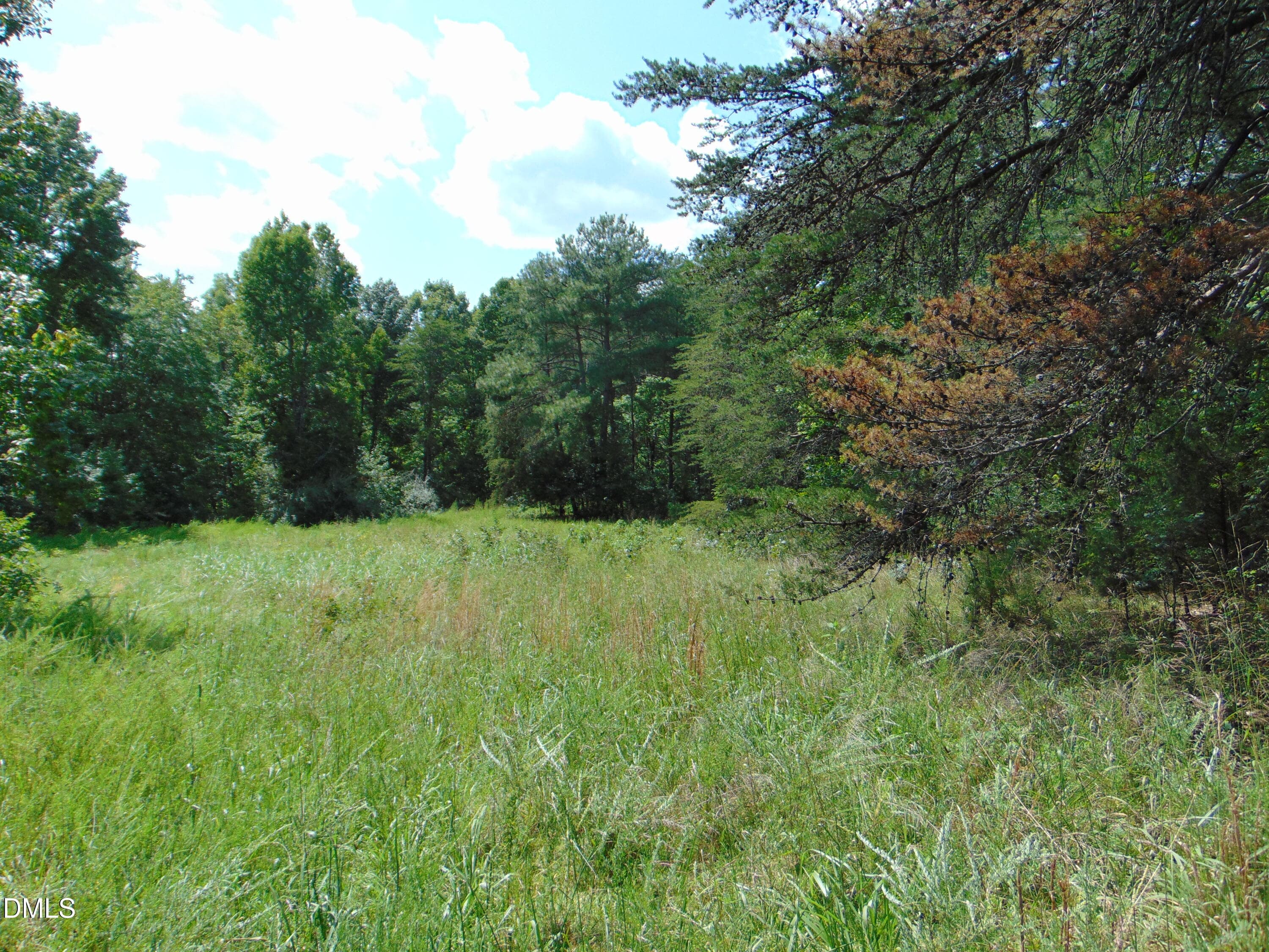 DSC01603 - 0 Highway 86, Yanceyville, NC 27379