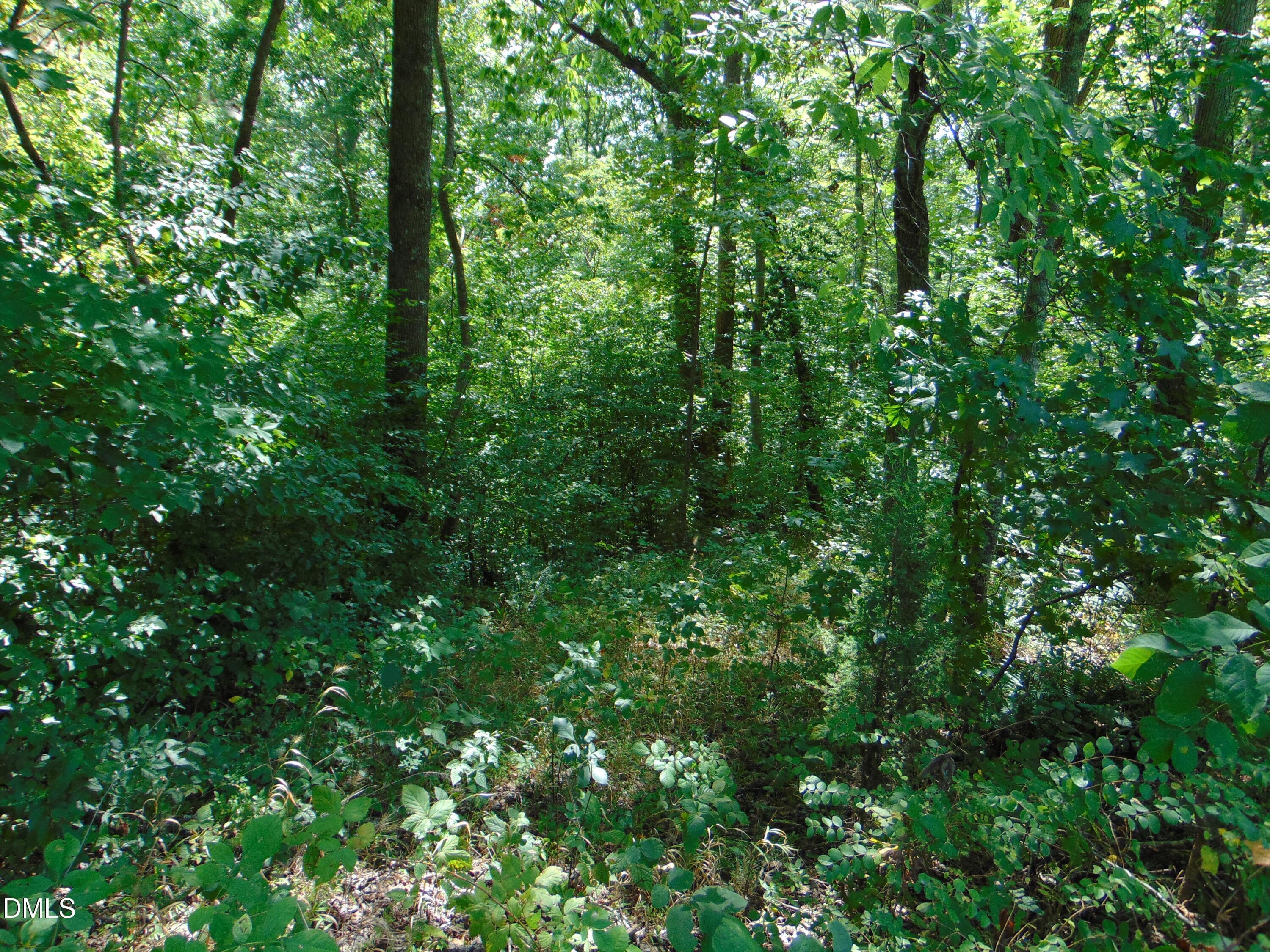 DSC01604 - 0 Highway 86, Yanceyville, NC 27379