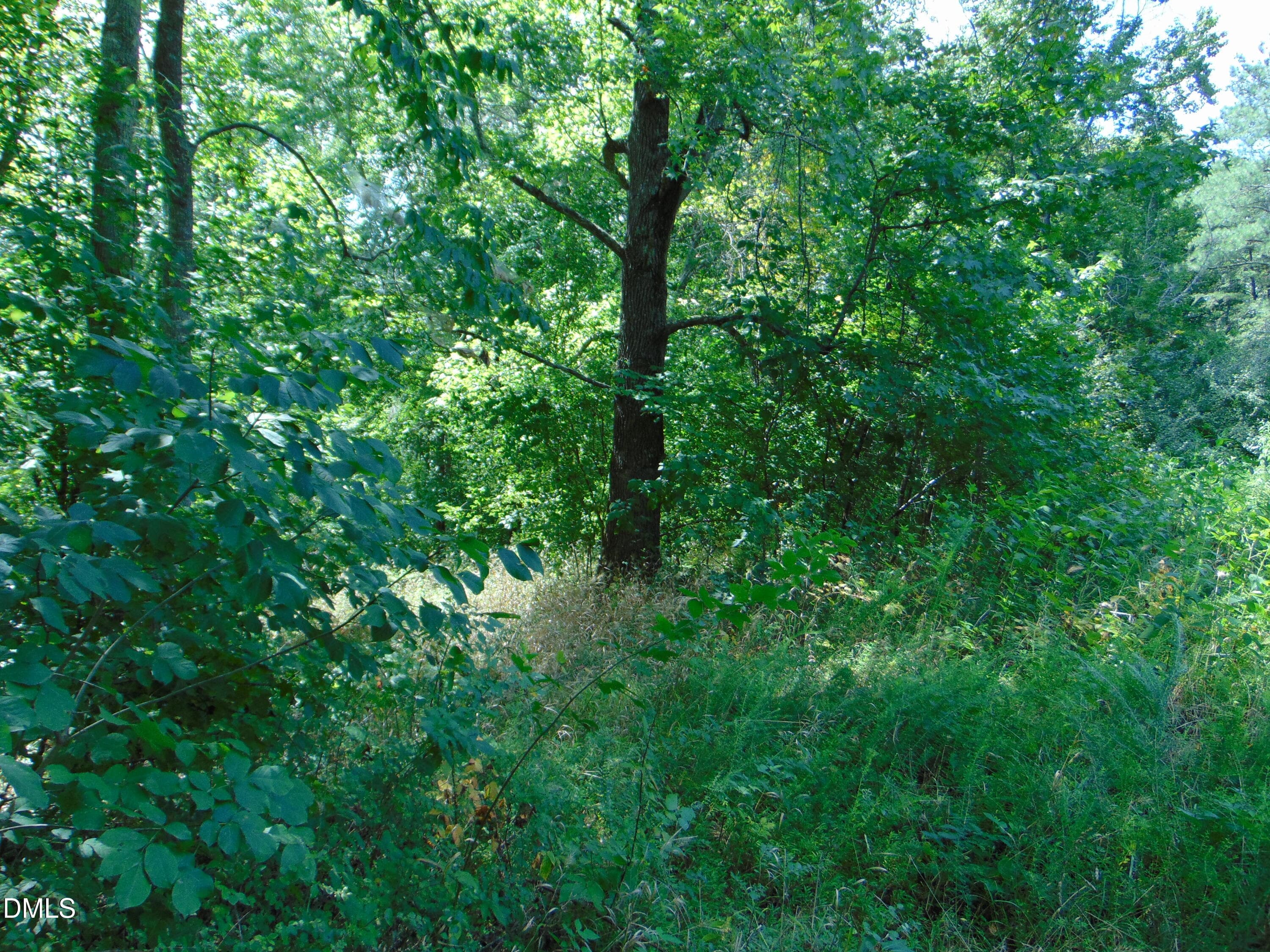 DSC01605 - 0 Highway 86, Yanceyville, NC 27379