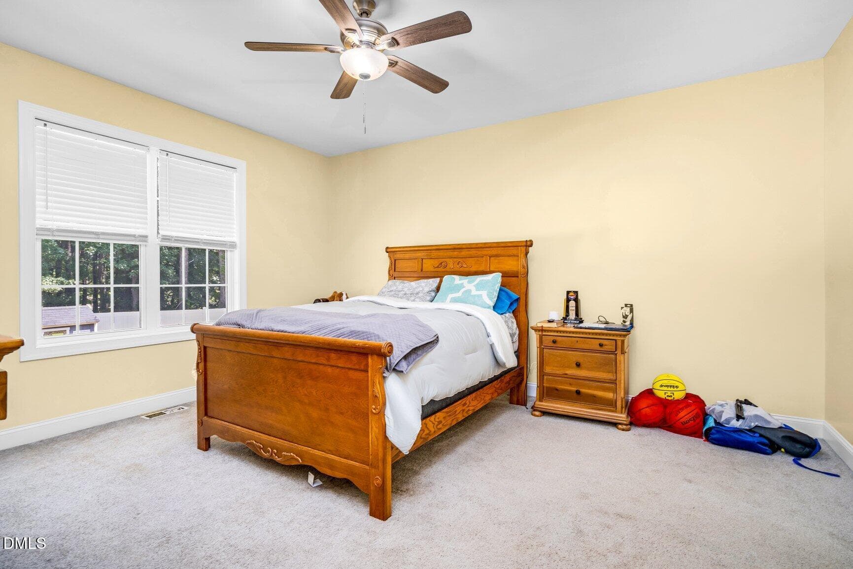 016-5732RoseheathRoad-Bailey-NC-27807-SM - 5732 Roseheath Road, Bailey, NC 27807, Bailey