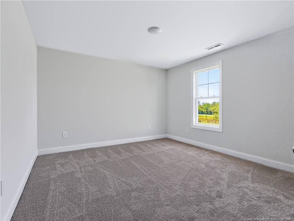 Photo 43 - 2650 Norrington Road, Lillington, NC 27546