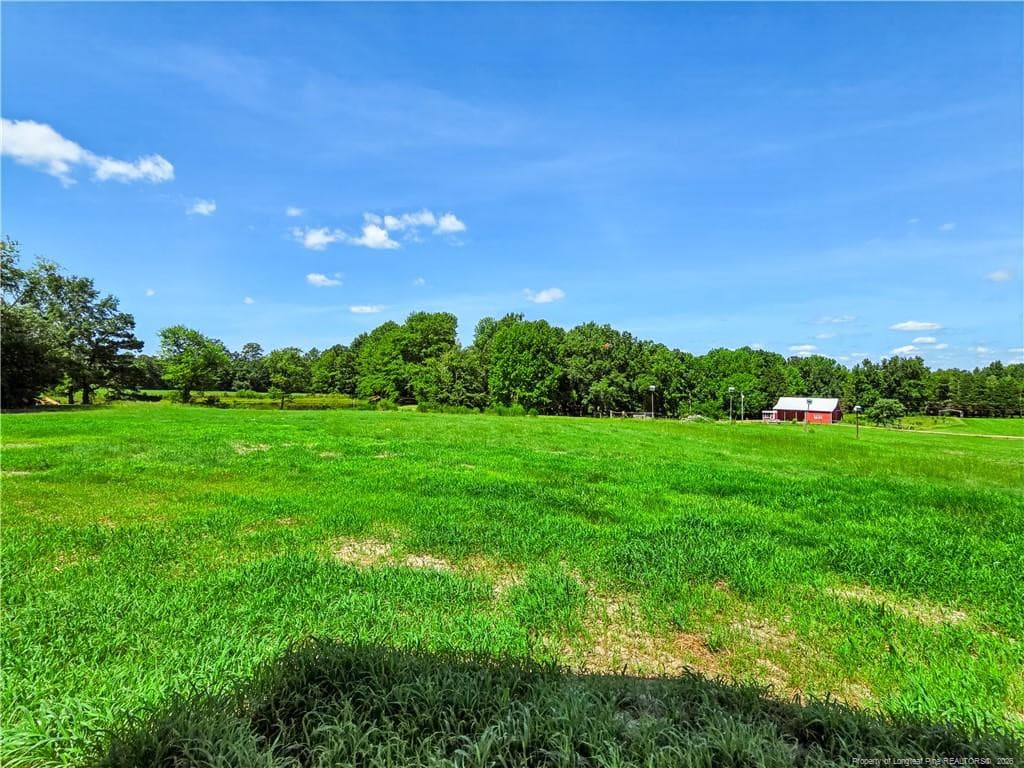Photo 48 - 2650 Norrington Road, Lillington, NC 27546