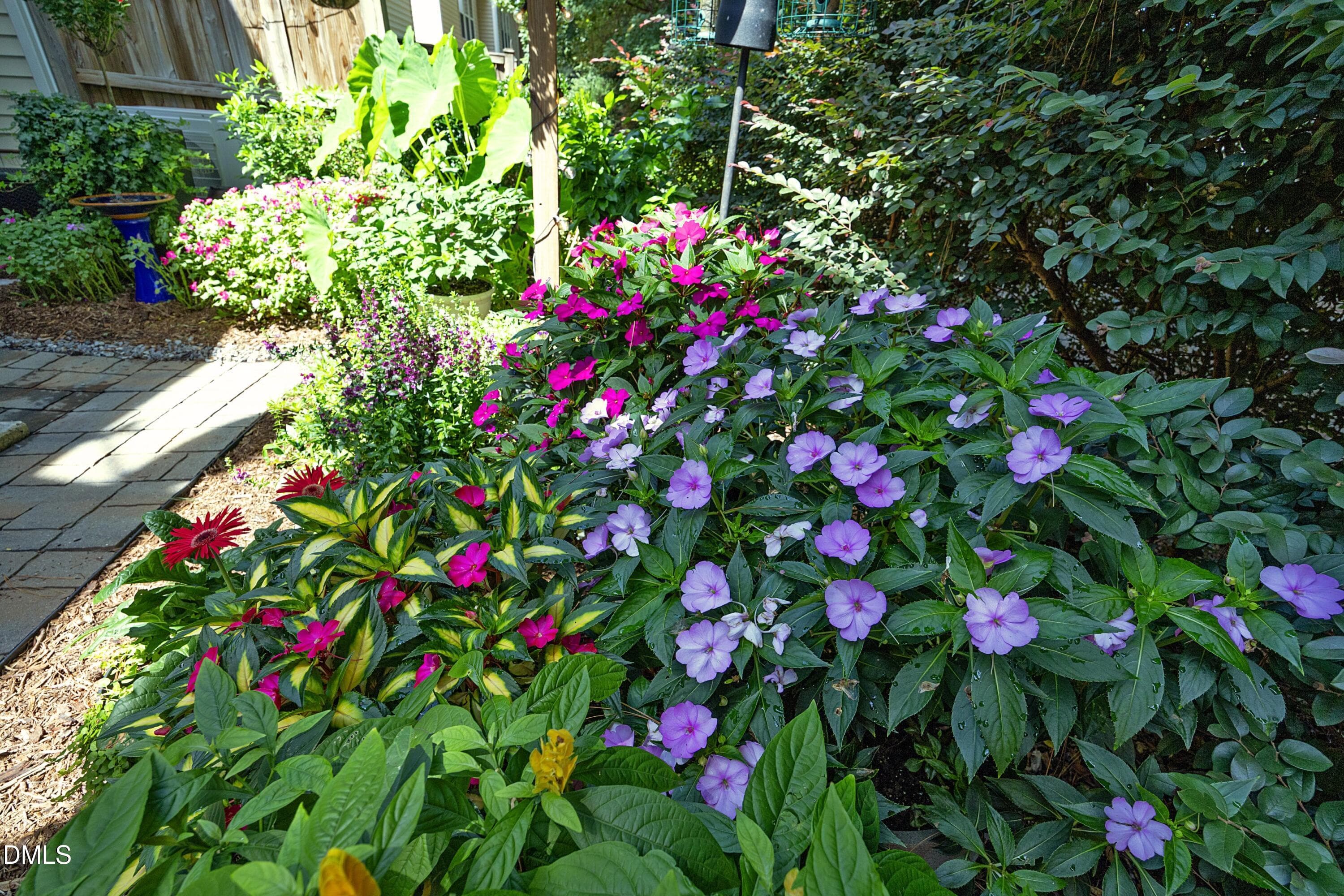 Flowers - 8618 Redcrest Place, Raleigh, NC 27617, Raleigh