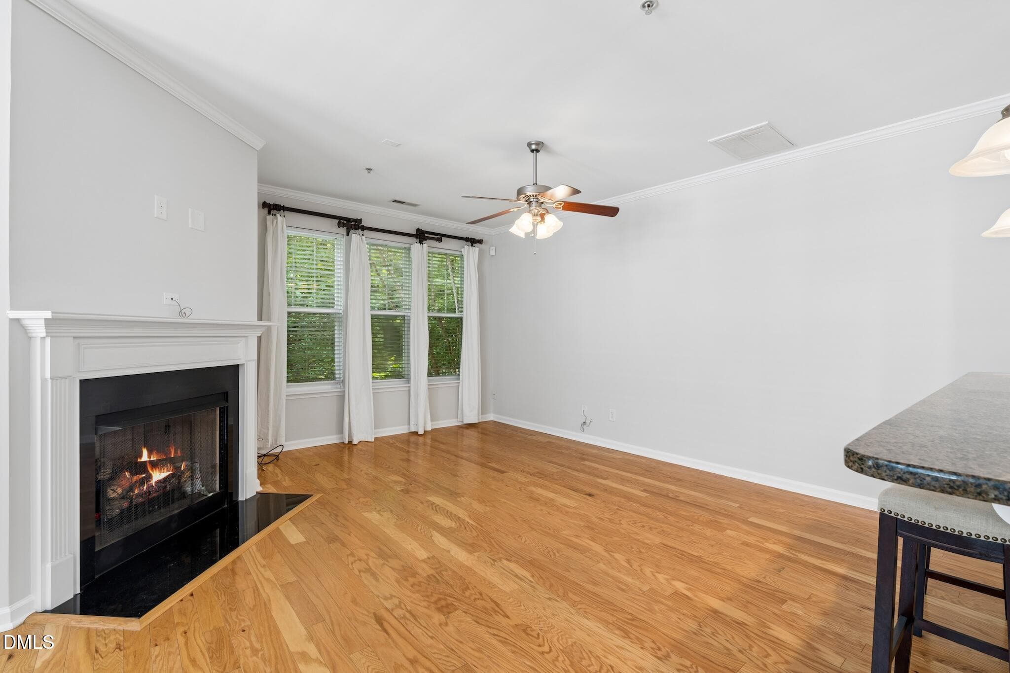 DSC09768 - 6140 Braidwood Court, Raleigh, NC 27612, Raleigh