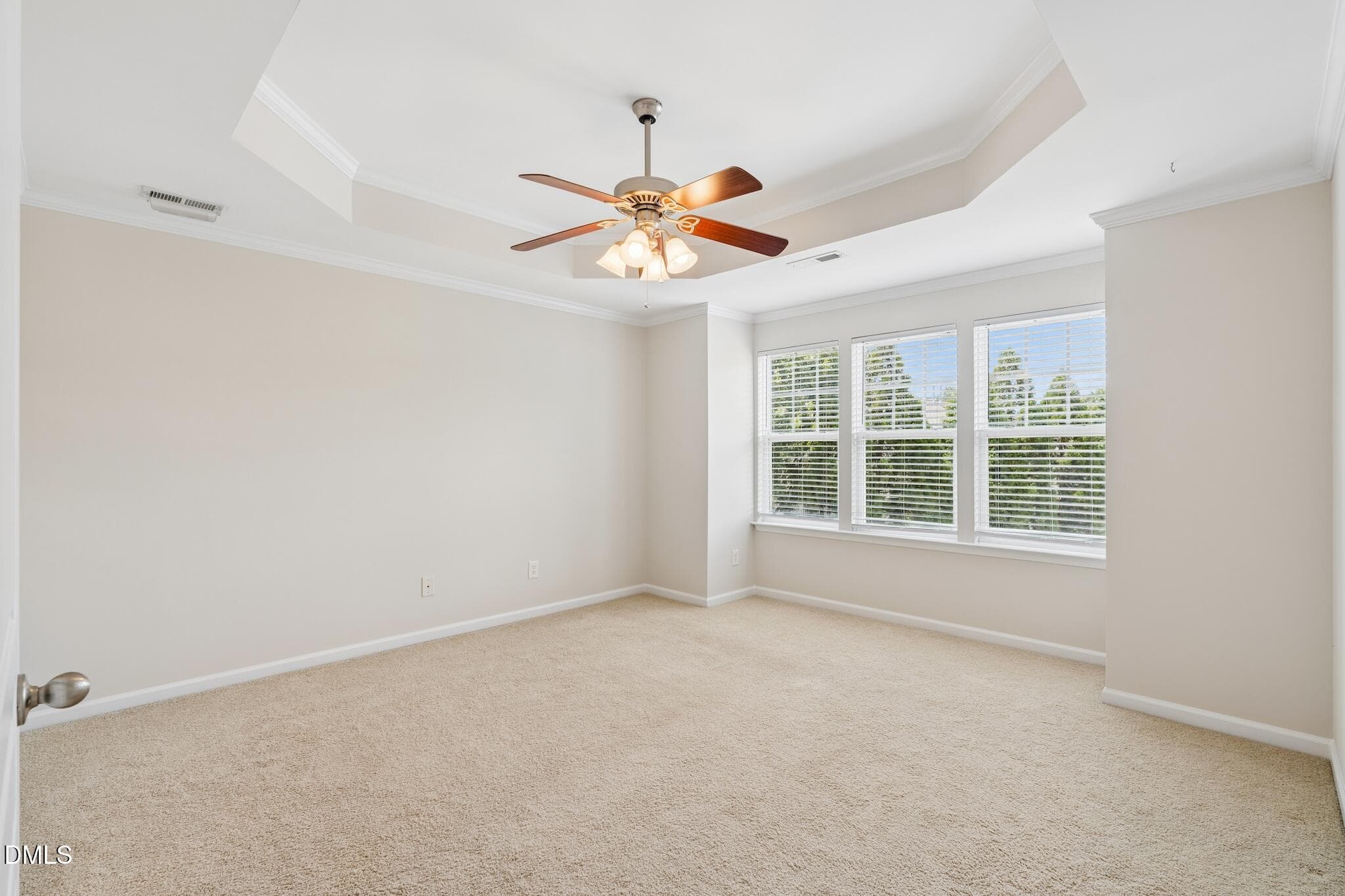 DSC09838 - 6140 Braidwood Court, Raleigh, NC 27612, Raleigh