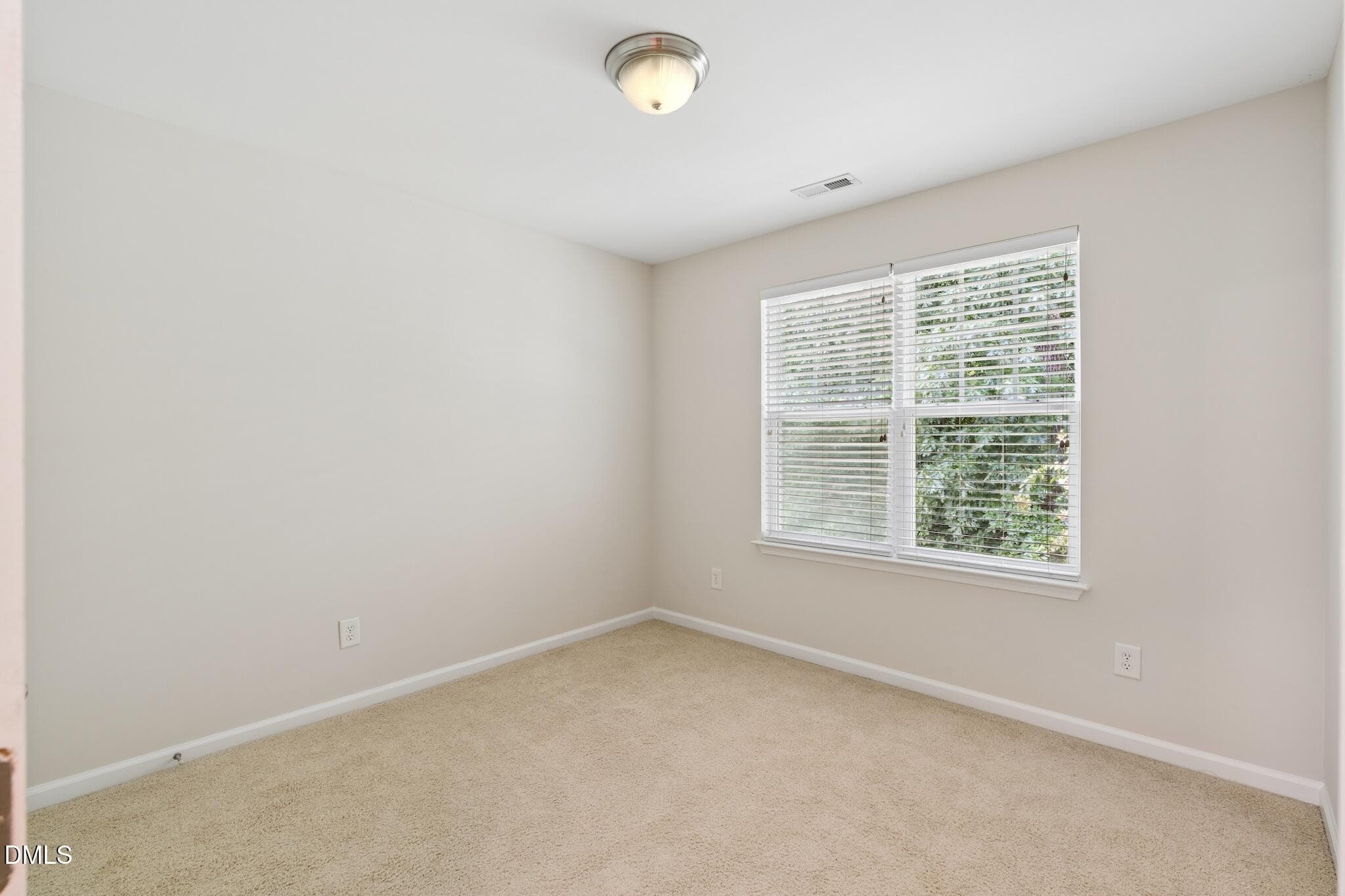 DSC09888 - 6140 Braidwood Court, Raleigh, NC 27612, Raleigh