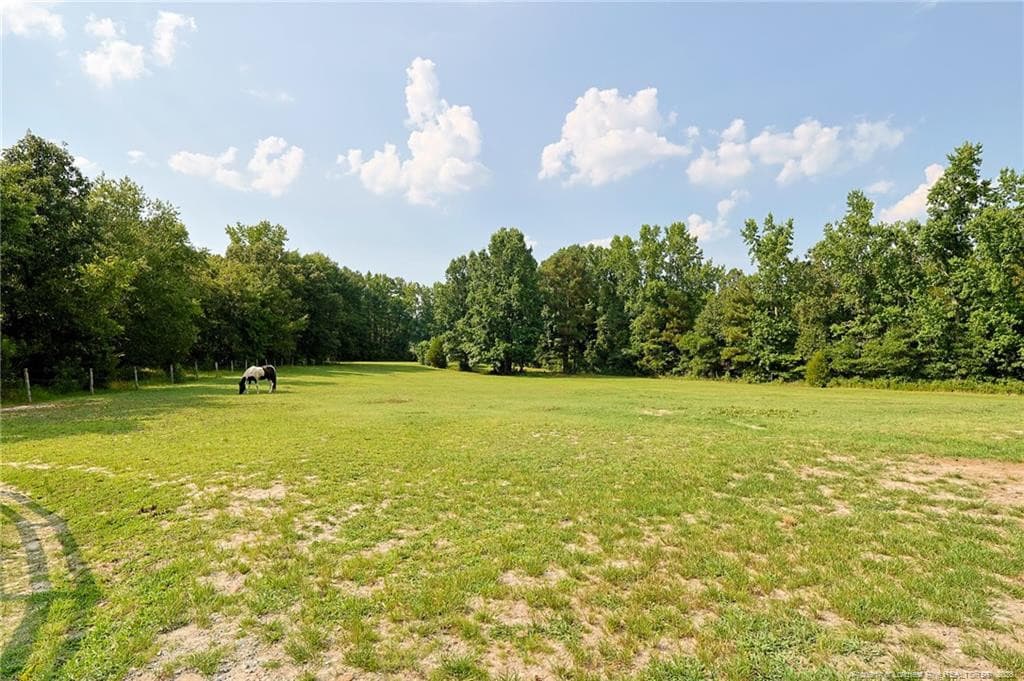 Pasture 2 - 641 Sunridge Drive, Cameron, NC 28326