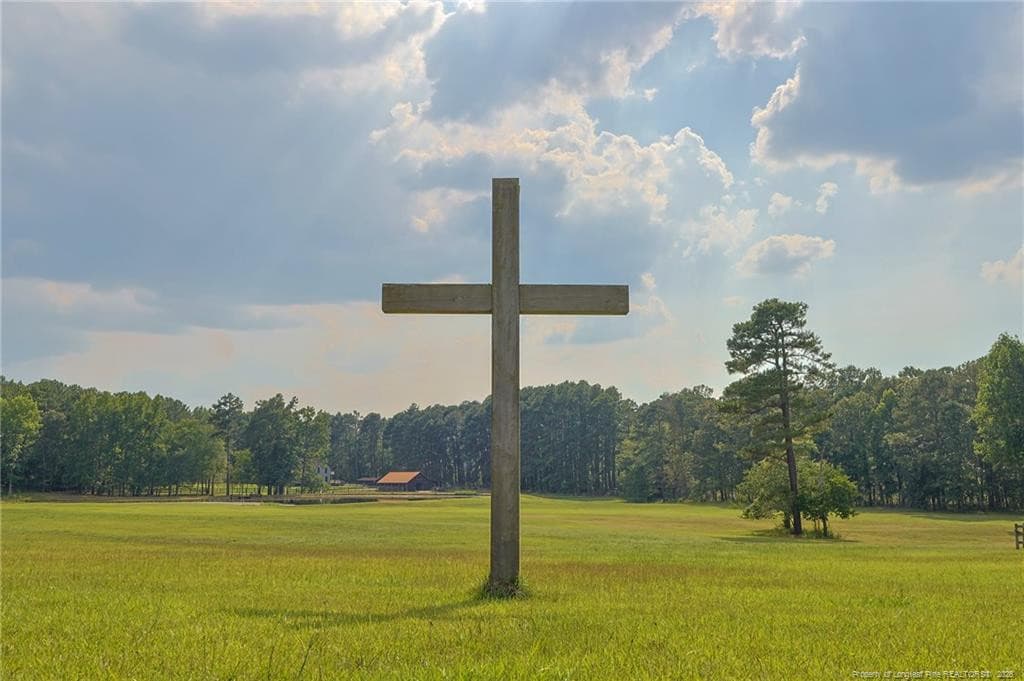 View from Pasture - 641 Sunridge Drive, Cameron, NC 28326