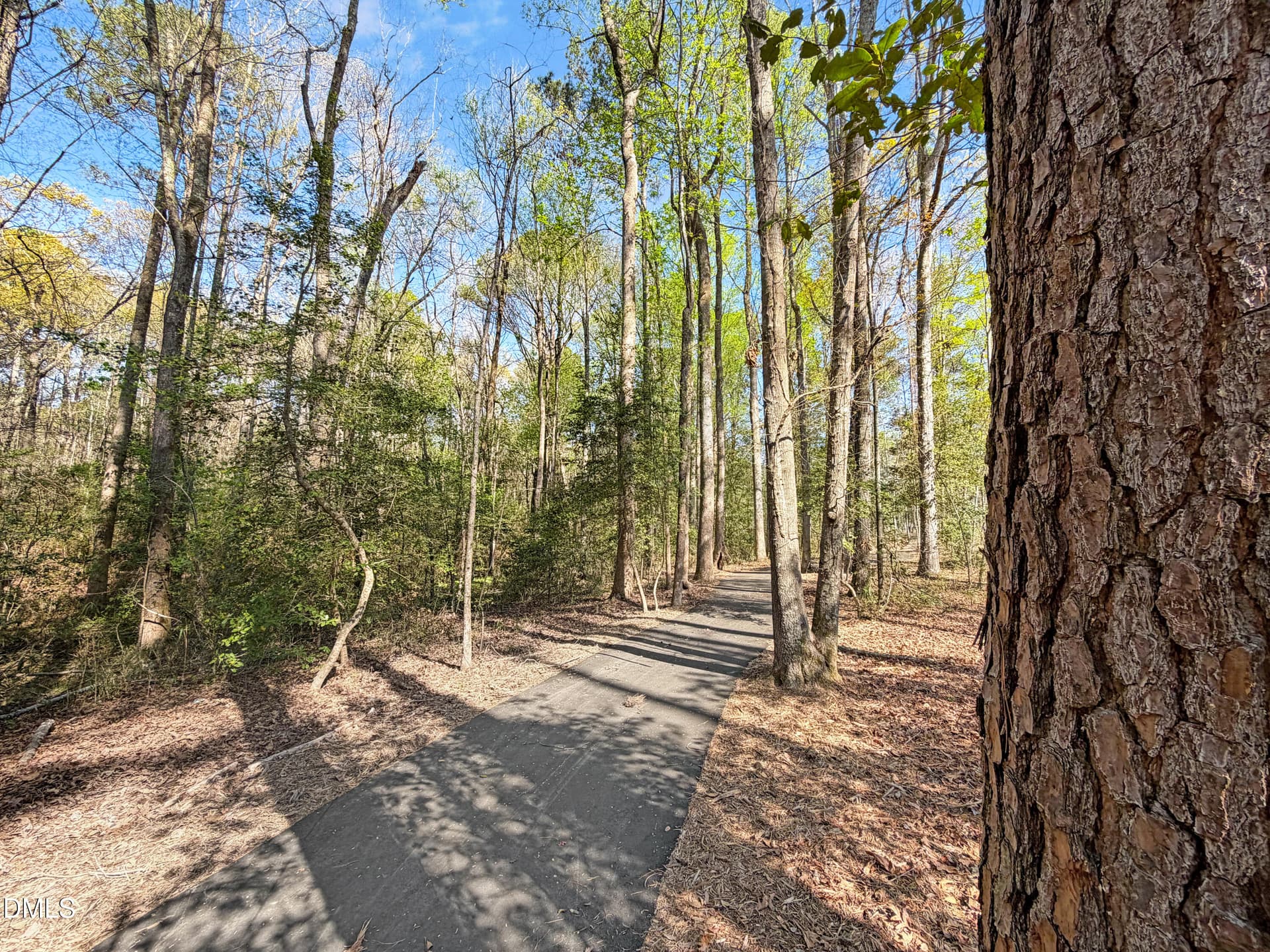 IMG_4931 - 198 Eagle Rock Drive, Lillington, NC 27546