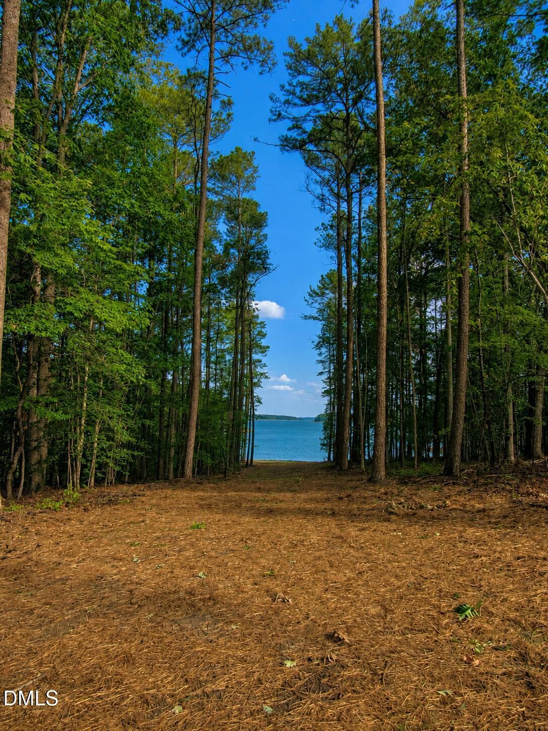 Lot 6 full water views - 2 - 137 Shoreline Drive, Manson, NC 27553