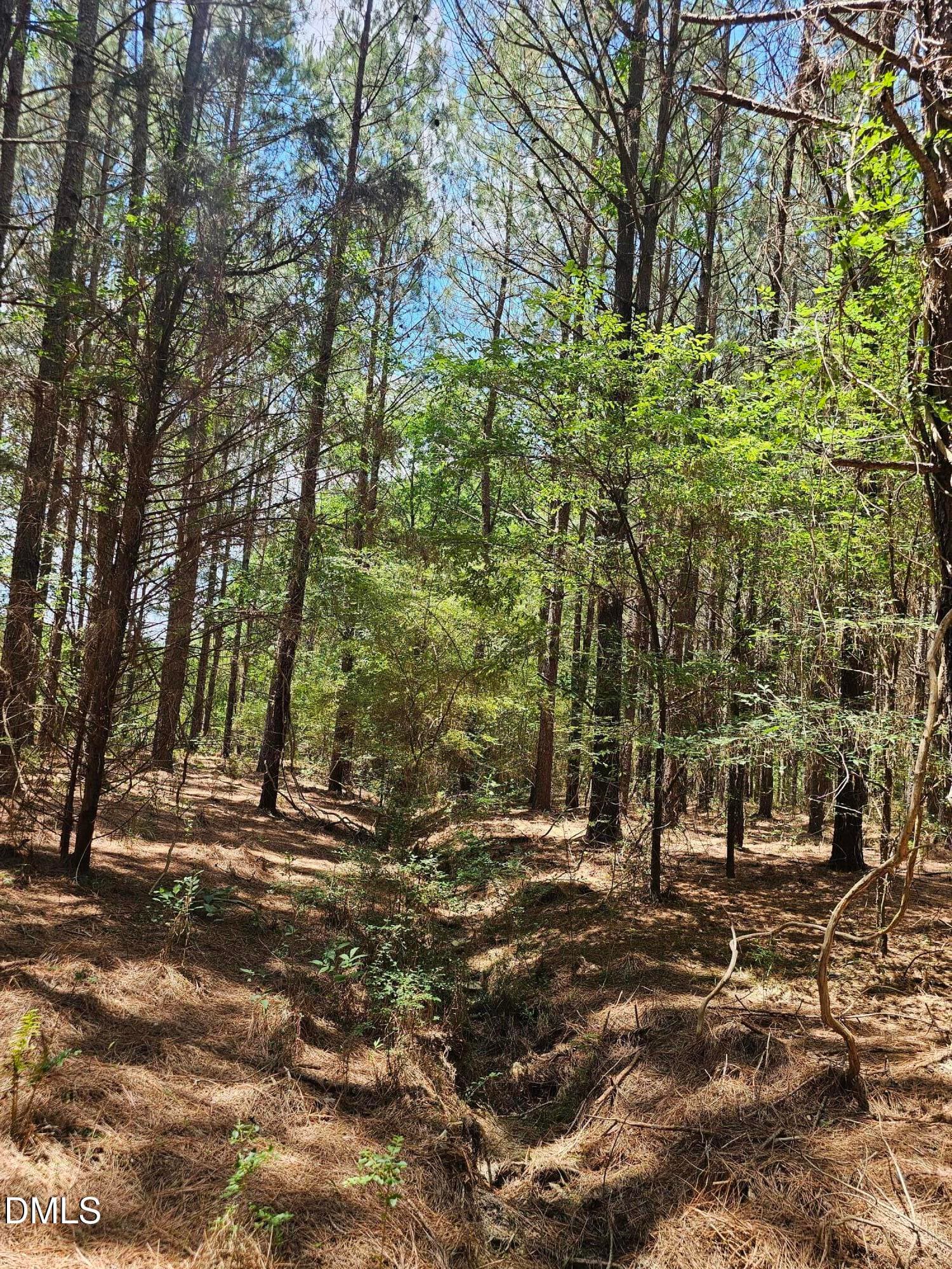 1000009381 - 850 Clarence Phillips Road, Bennett, NC 27208