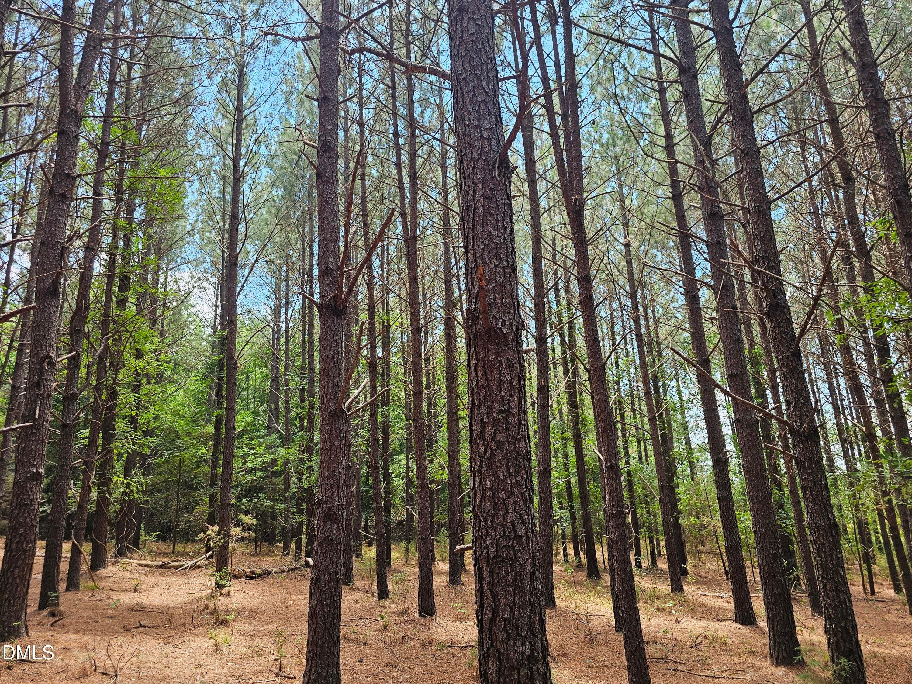 1000009378 - 850 Clarence Phillips Road, Bennett, NC 27208
