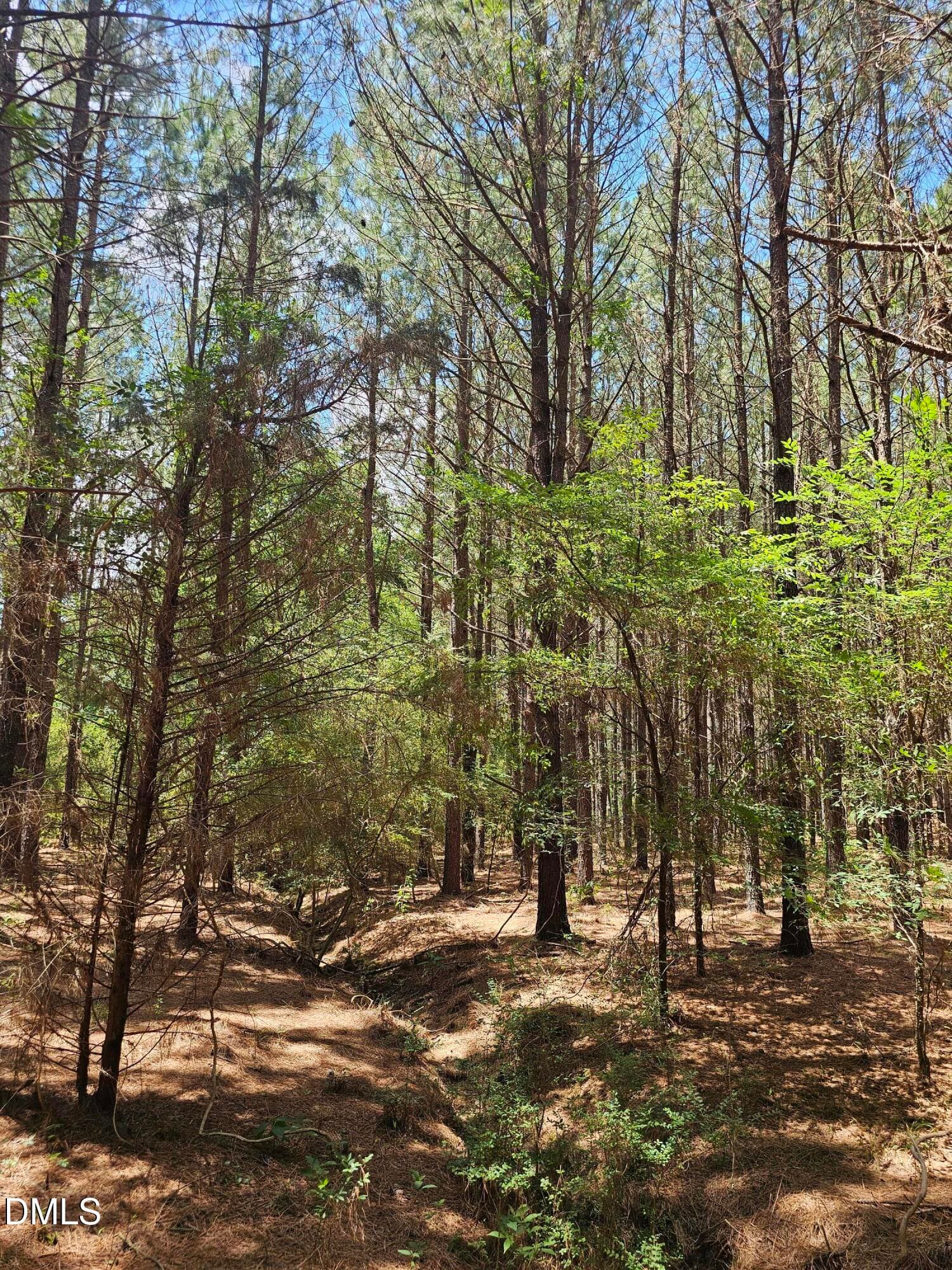 1000009379 - 850 Clarence Phillips Road, Bennett, NC 27208