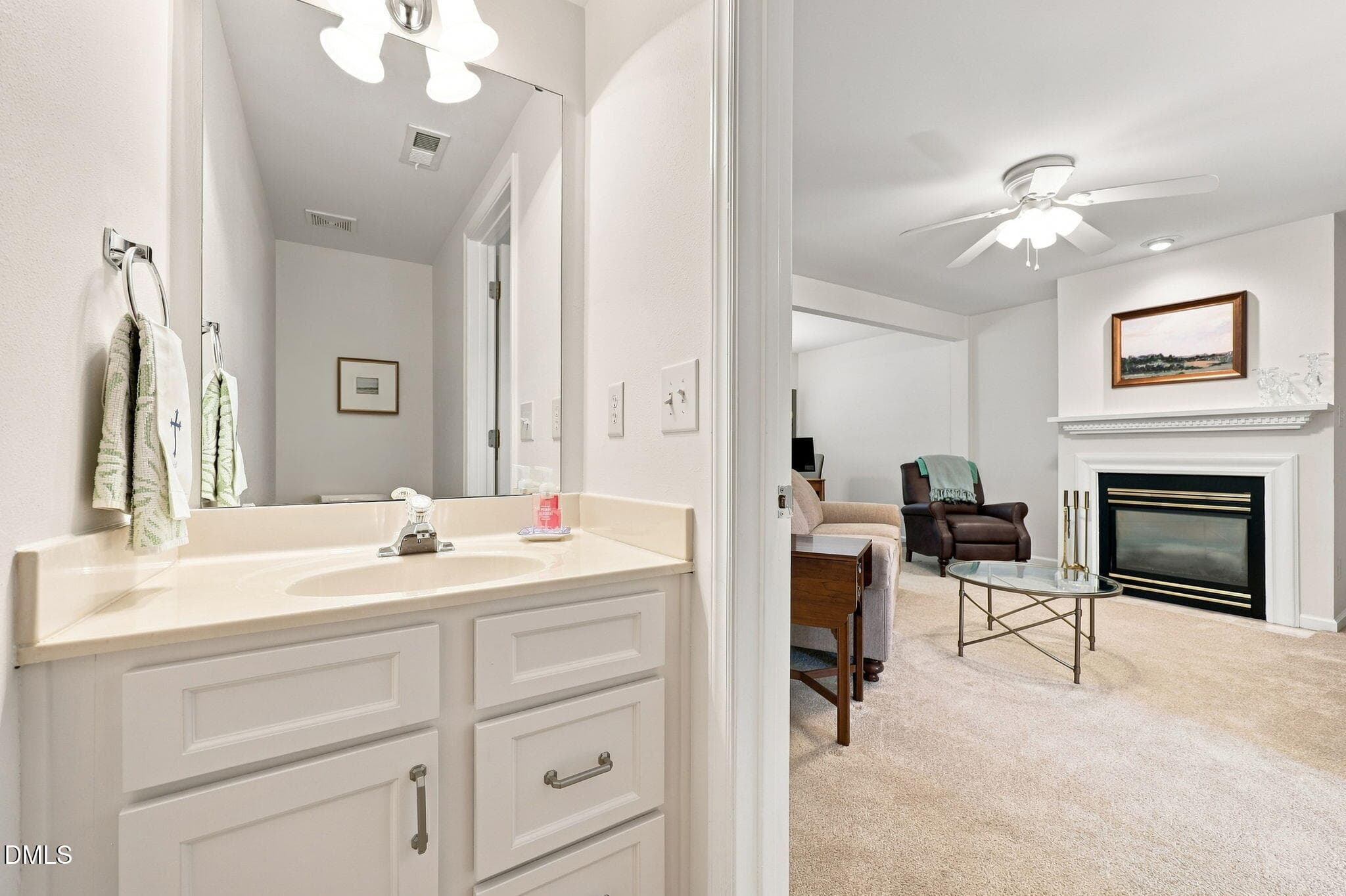 Powder Room - 8146 Upper Lake Drive, Raleigh, NC 27615, Raleigh