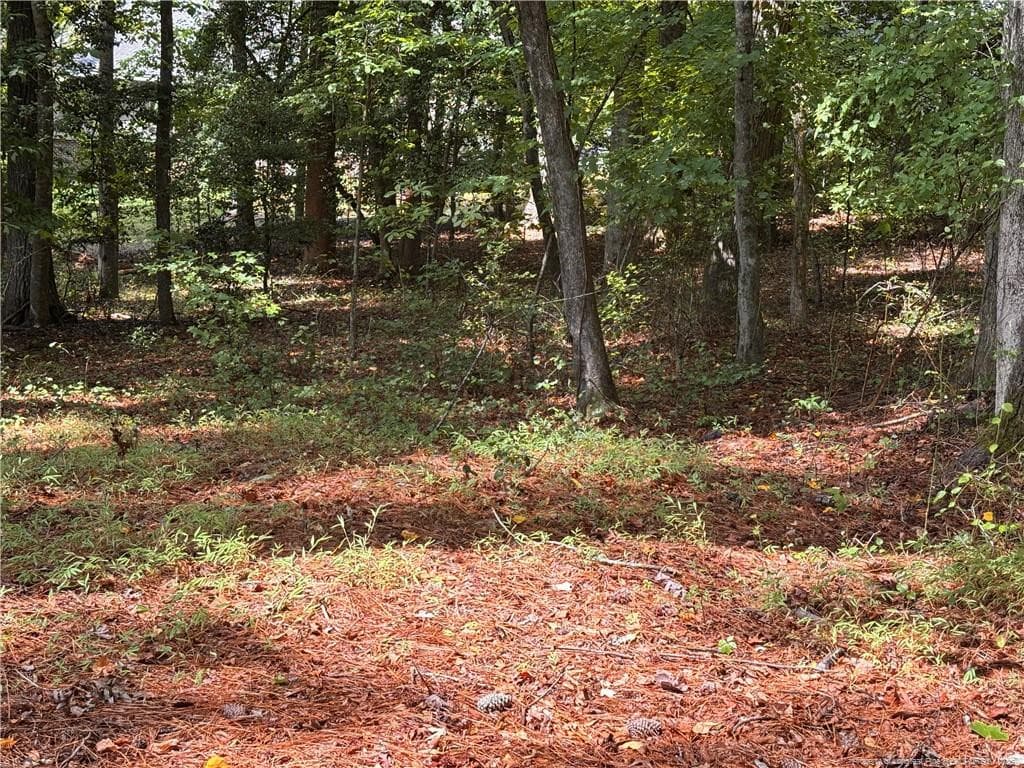Photo 1 - 1532 DELAWARE Place, Sanford, NC 27332