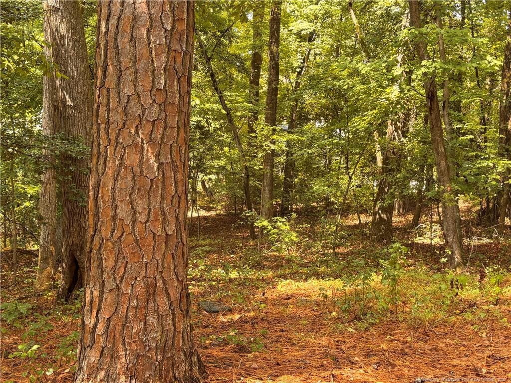 Photo 4 - 1532 DELAWARE Place, Sanford, NC 27332