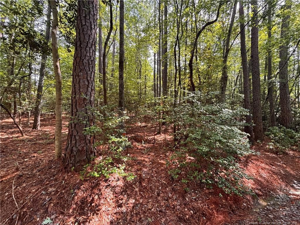 Photo 2 - 1452 CAROLINA Drive, Sanford, NC 27332