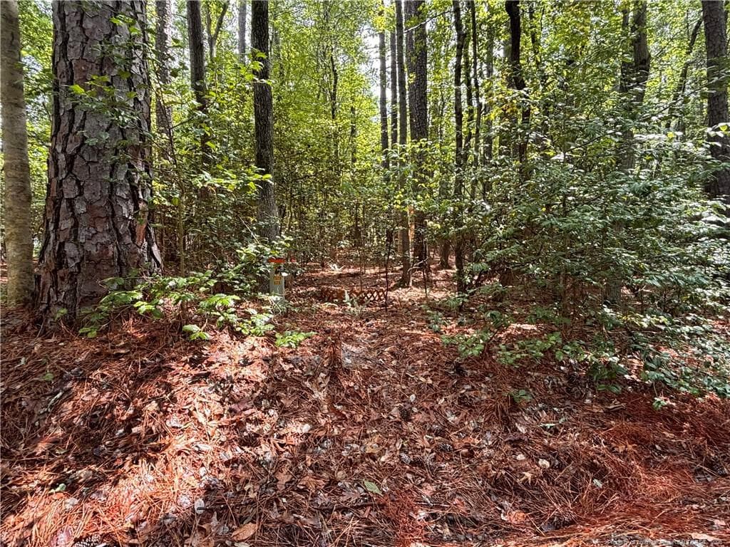 Photo 3 - 1452 CAROLINA Drive, Sanford, NC 27332
