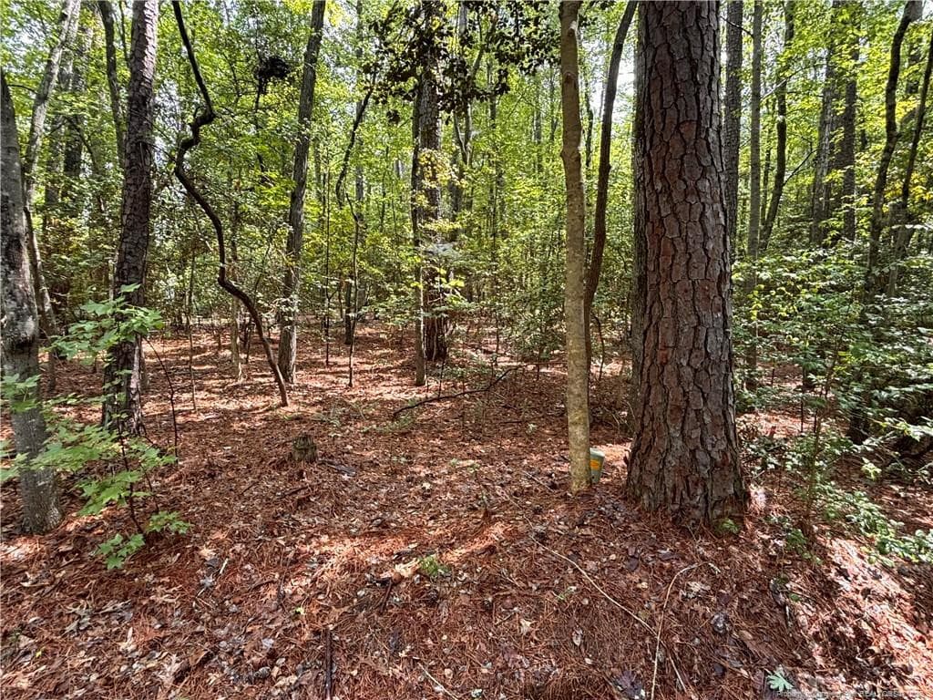 Photo 4 - 1452 CAROLINA Drive, Sanford, NC 27332