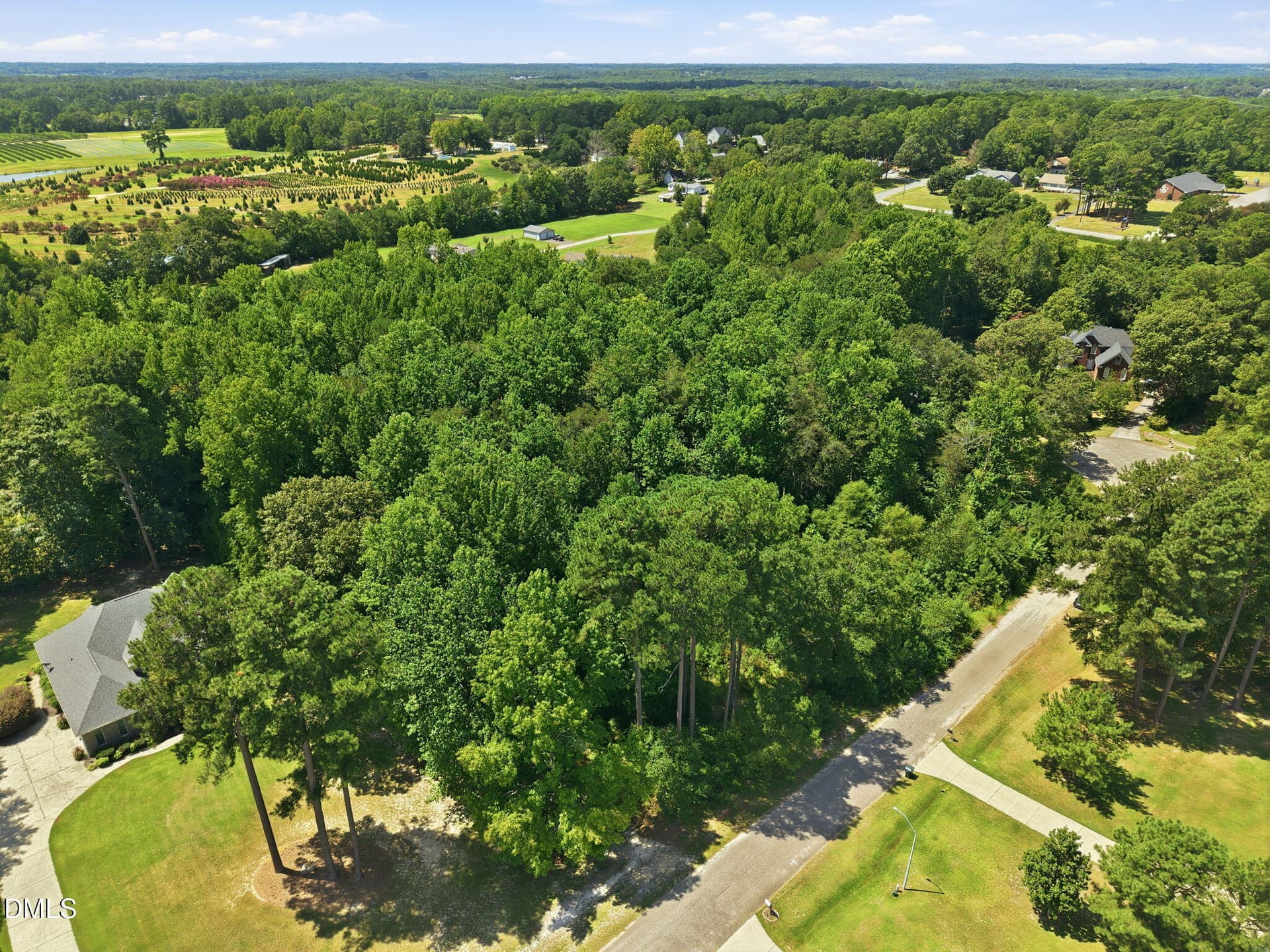 2-web-or-mls-DJI_20260818122014_0634_D - 205 Teresa Court, Angier, NC 27501