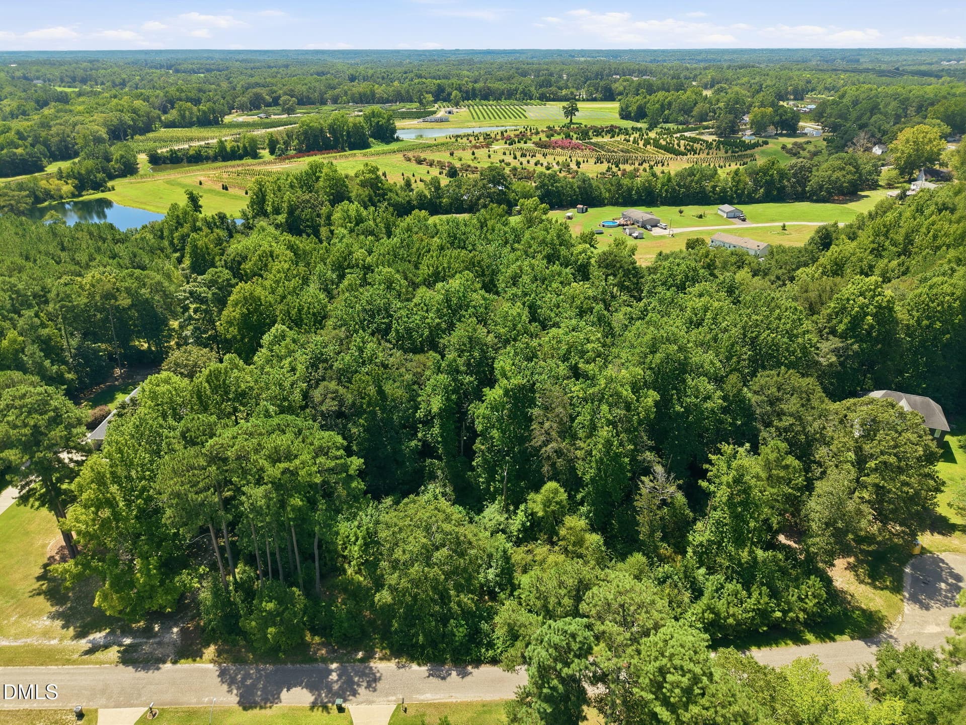 3-web-or-mls-DJI_20260818122056_0635_D - 205 Teresa Court, Angier, NC 27501