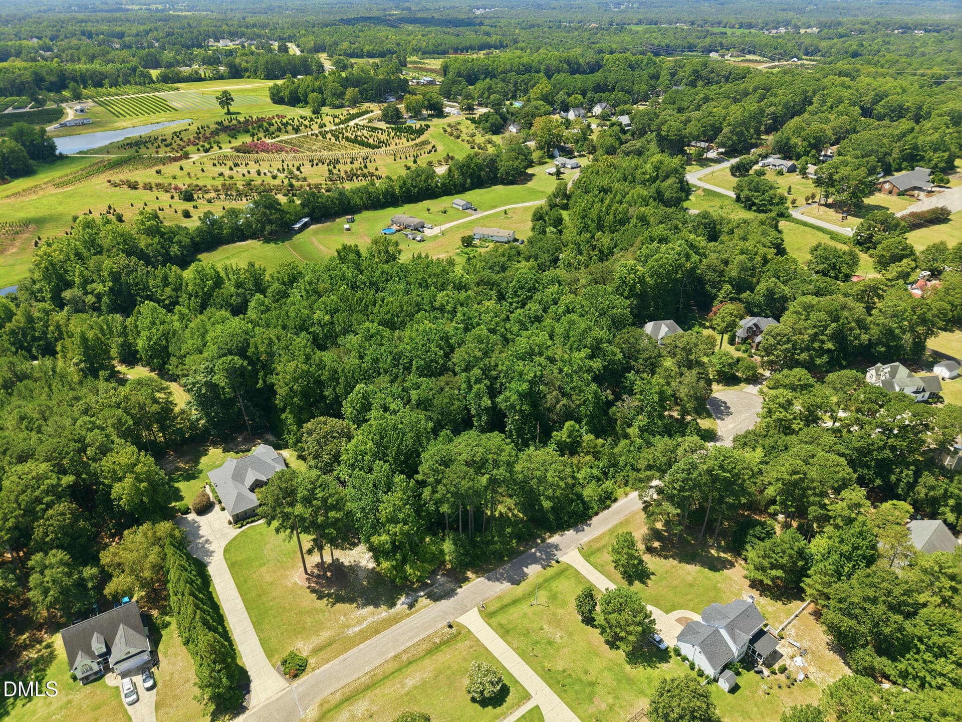 12-web-or-mls-DJI_20260818122605_0644_D - 205 Teresa Court, Angier, NC 27501
