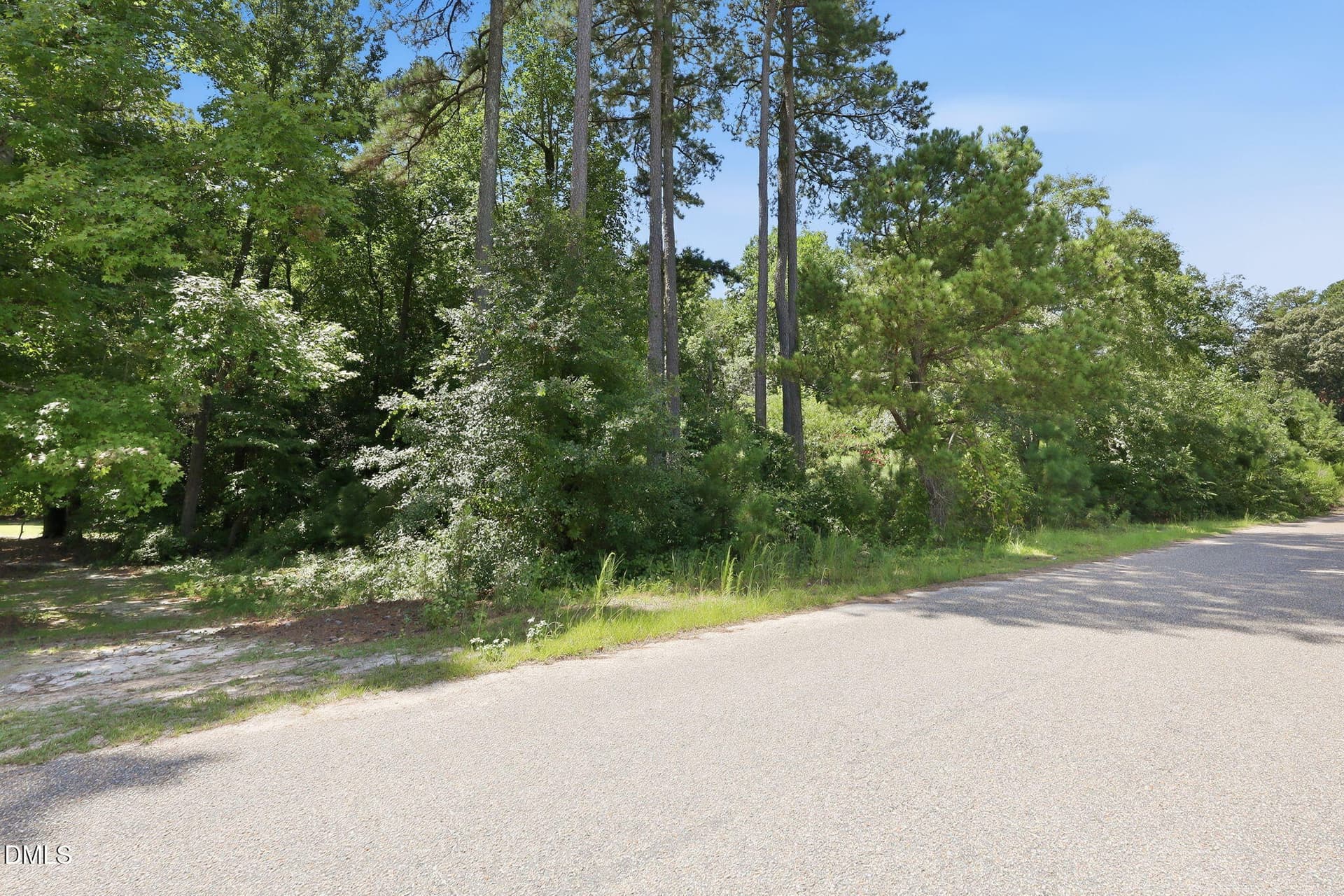 15-web-or-mls-IMG_3428 - 205 Teresa Court, Angier, NC 27501