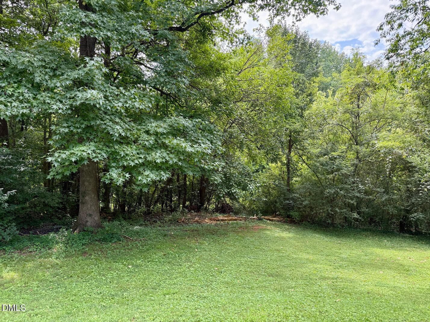 mature trees - 417 Boundary Street, Haw River, NC 27258