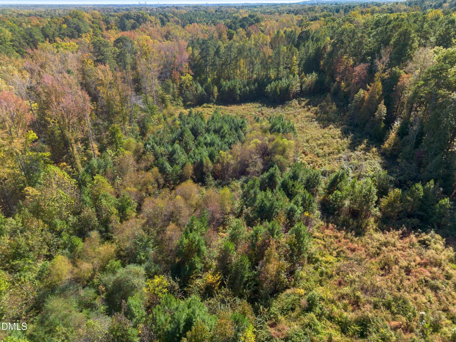 dji_0211 - 1205 Terry Road, Durham, NC 27712