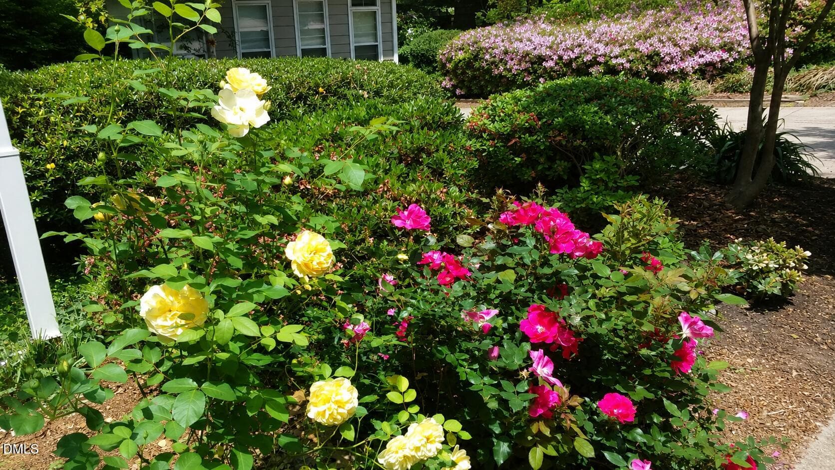 ChatGPT Image Aug 21, 2026, 10_36_59 AM - 1502 Lake Pine Drive, Cary, NC 27511