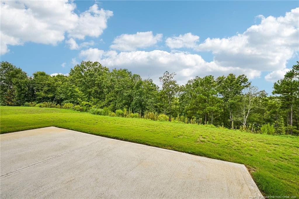 Photo 23 - 23 Chestnut Oak Lane, Lillington, NC 27546