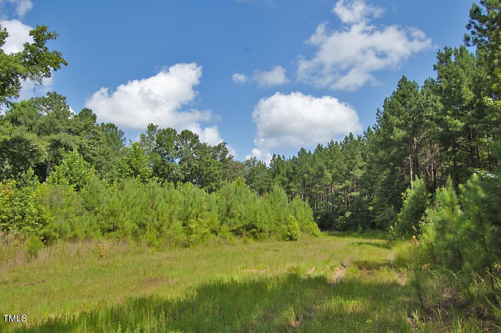 DSC_0721 - 0 Buckhorn Road, Bullock, NC 27507